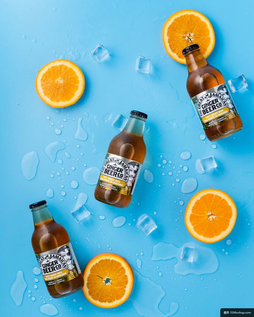 啤酒 饮料 酒精 瓶 橙色 柑橘类水果 美食摄影图片